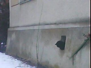 strazce sklepa 2