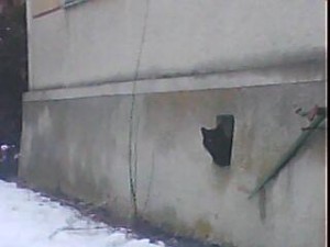 strazce sklepa 3